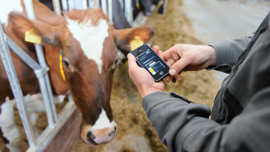 GEA drives the automation and digital transformation on dairy farms